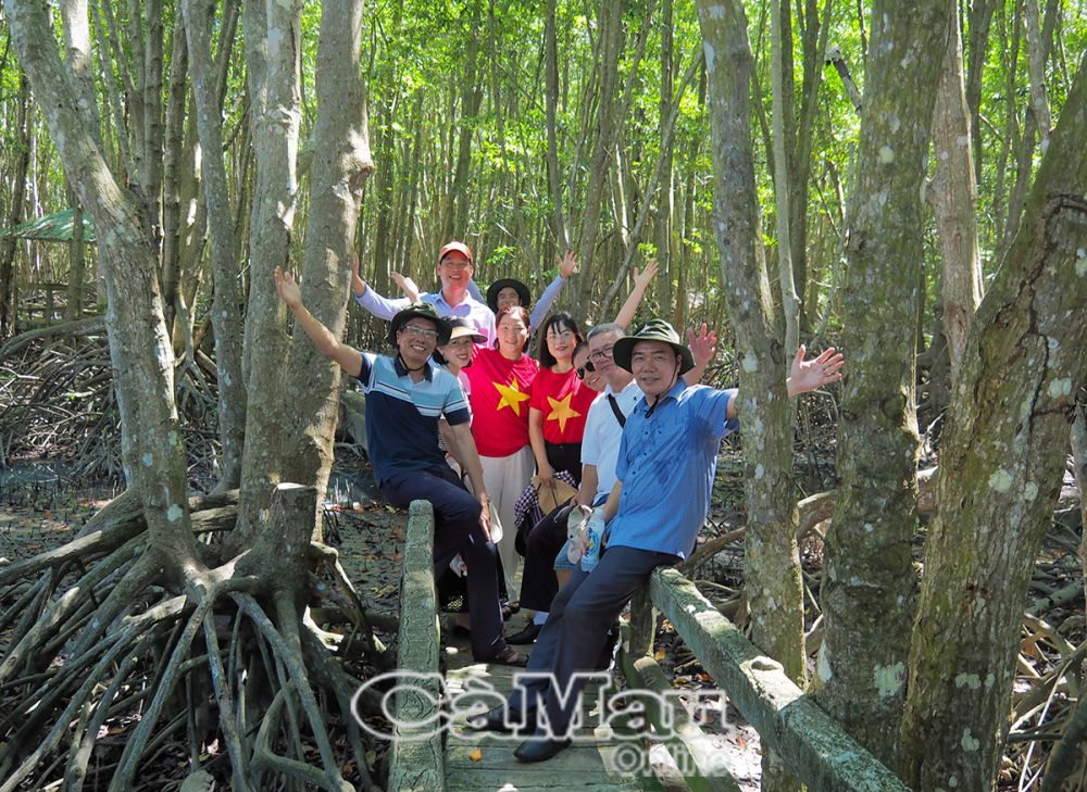 Du khách thích thú khi đắm mình giữa không gian rừng đước trong lành.