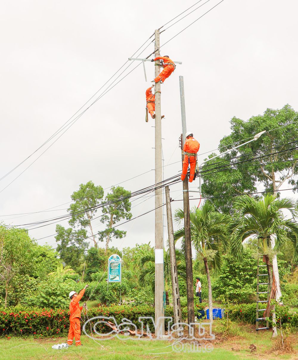 Các nhiệm vụ khác như thay trụ trung thế, sang dây trung thế, hạ thế, dây nhánh khách hàng qua trụ mới dựng; thay LBFCO; chỉnh trụ nghiêng, thay dây neo trung thế và đóng 01 bộ tiếp đất lặp lại, căng lại dây trung thế; xử lý nối cáp quang trụ.