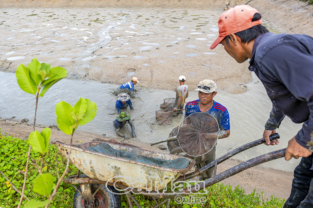 Sản xuất nông nghiệp tại nhiều địa phương còn nặng tính truyền thống, việc chủ động và mạnh dạn áp dụng thành tựu khoa học - kỹ thuật trong lao động, sản xuất còn nhiều hạn chế.