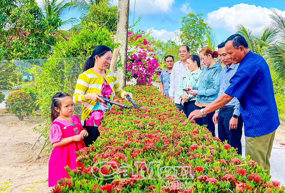 Người dân đồng thuận tham gia trồng hàng rào cây xanh, giữ cảnh quan môi trường xanh - sạch - đẹp.