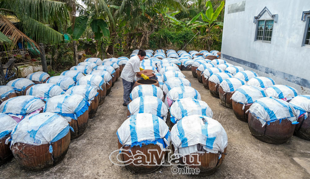 Bên căn nhà nhỏ, ông Hứa Minh Nhựt dành khoảng sân khá rộng đặt hơn 150 lu ủ nước mắm.