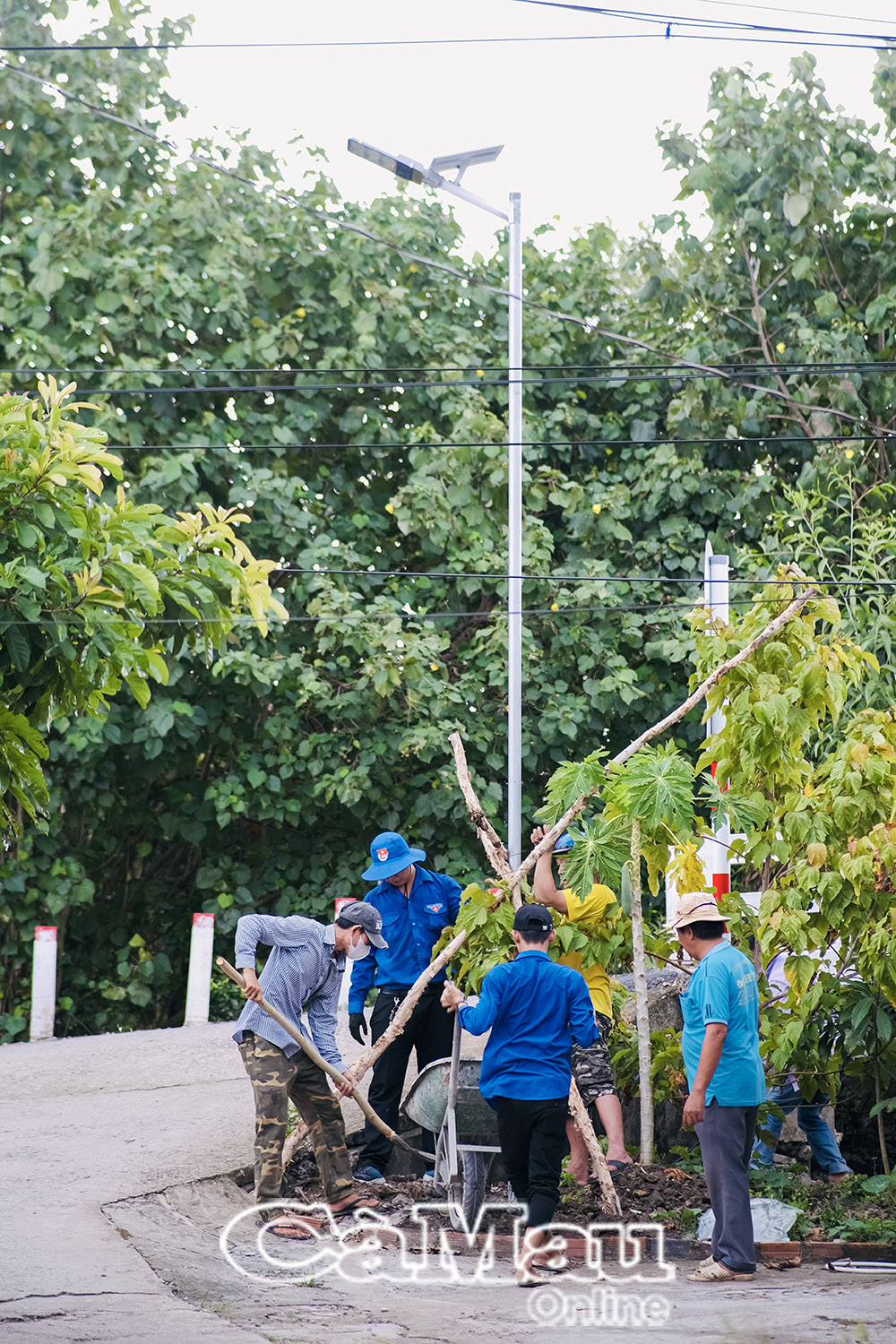 Tại Ấp 10, xã Thới Bình, cách vài chục mét sẽ có 1 trụ đèn đảm bảo ánh sáng, giúp người dân lưu thông an toàn.