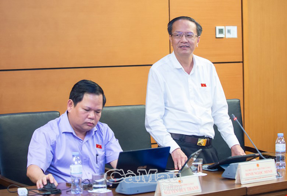 Đại biểu Đinh Ngọc Minh phát biểu thảo luận.