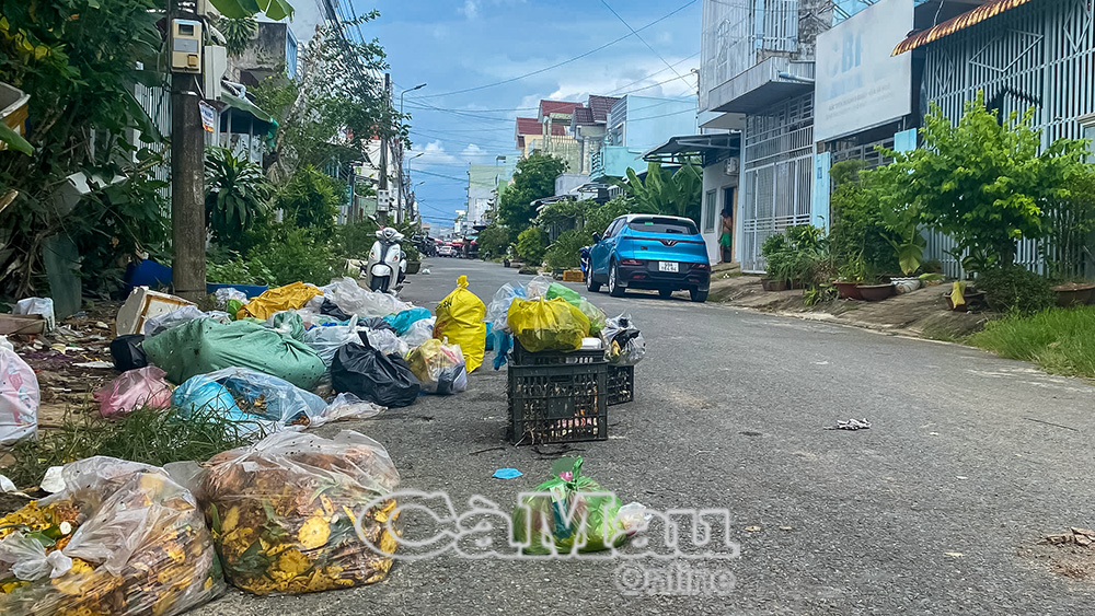 Tại những khoảng đất trống bỗng dưng xuất hiện những bãi rác " vô chủ"