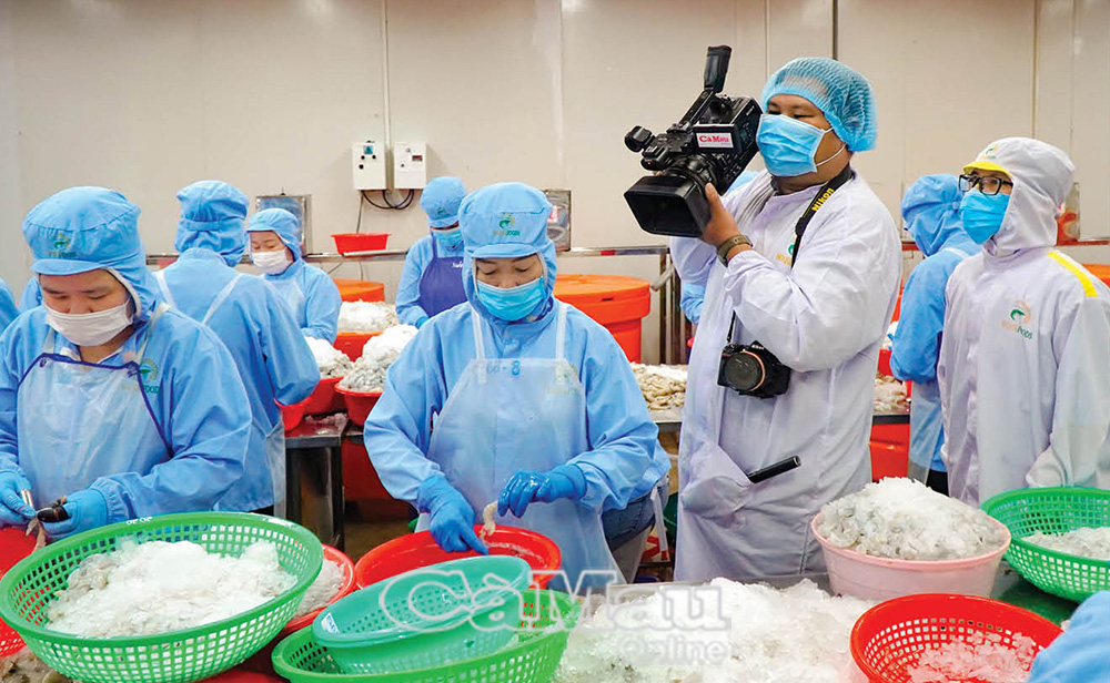 Phóng viên Báo Cà Mau tác nghiệp tại Công ty TNHH Thực phẩm sạch Minh Quân, Phường 6, TP Cà Mau.                  Ảnh: BĂNG THANH