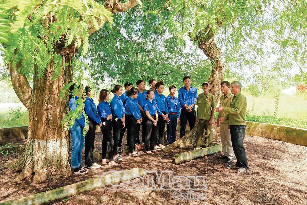 Giáo dục truyền thống tại Khu Di tích Lịch sử cấp tỉnh - Ðịa điểm Cây me Rạch Gốc, tại ấp Rạch Gốc, xã Tân Ân, huyện Ngọc Hiển.  Ảnh: LOAN PHƯƠNG
