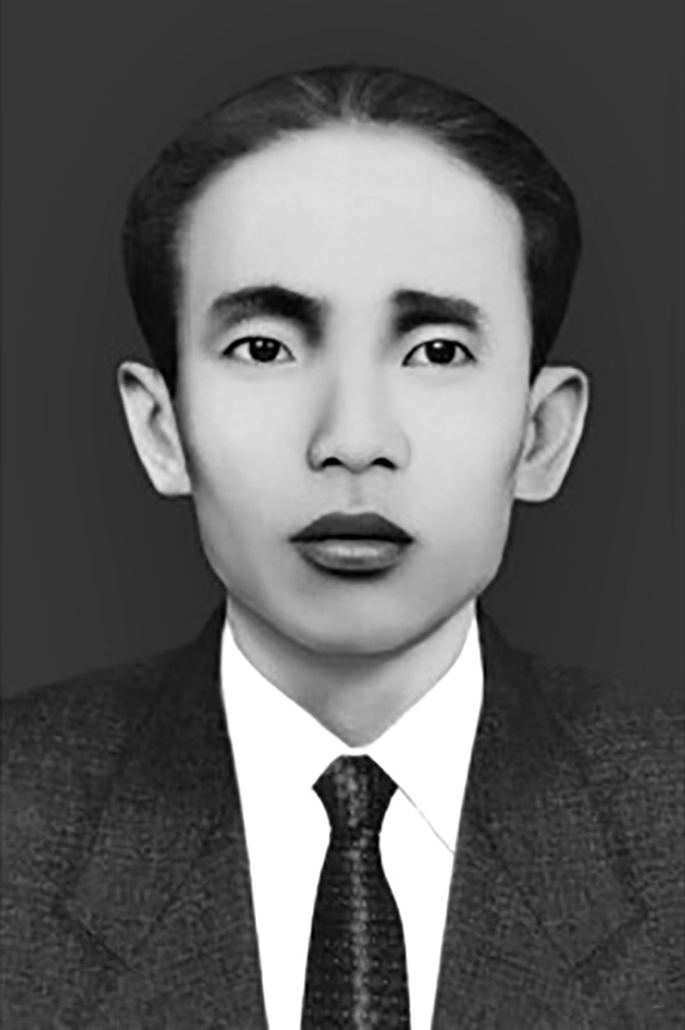 Trần Ngọc Hy (tên thường gọi Tư Nhân), sinh năm 1924, quê quán xã Tạ An Khương, huyện Ðầm Dơi. Trần Ngọc Hy tham gia cách mạng năm 1943; công tác nông dân quê nhà, năm 1945 là cán bộ Ty Thông tin. Từ năm 1956-1957, Trưởng ban Biên tập Báo Hoà Bình Thống Nhất.