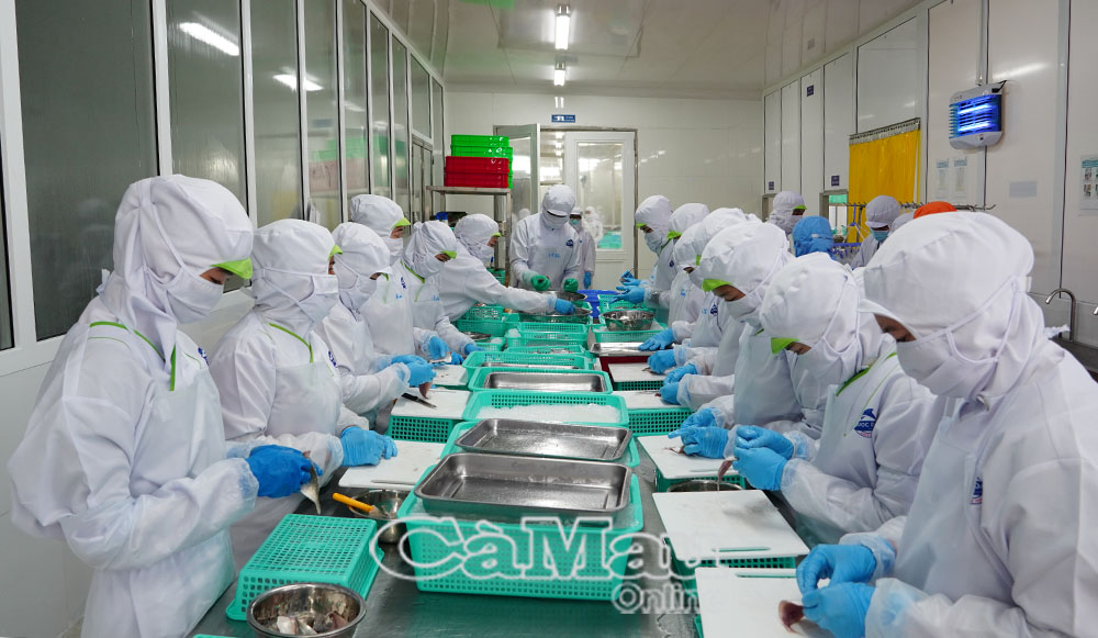 Kinh tế thuỷ sản ngày càng phát triển, đời sống người dân địa phương không ngừng nâng lên.