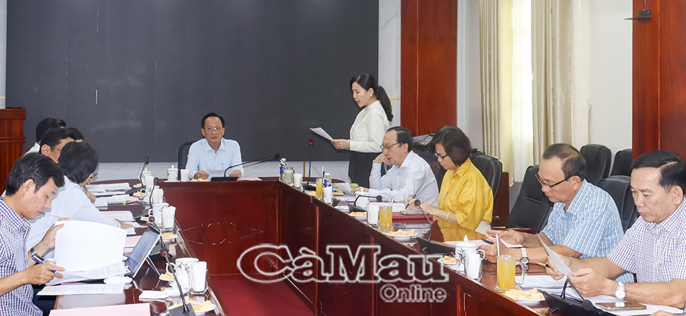 Phó chủ tịch Điều hành HĐND tỉnh Cà Mau Lê Thị Nhung phát biểu tại cuộc họp.