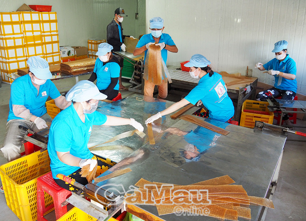 Sản xuất bánh phồng tôm tại Công ty TNHH Sản xuất Thương mại Dịch vụ Kiên Cường Năm Căn (xã Hàng Vịnh, huyện Năm Căn, tỉnh Cà Mau); công ty có 2 sản phẩm đạt OCOP 3 sao và 1 sản phẩm đạt OCOP 4 sao.