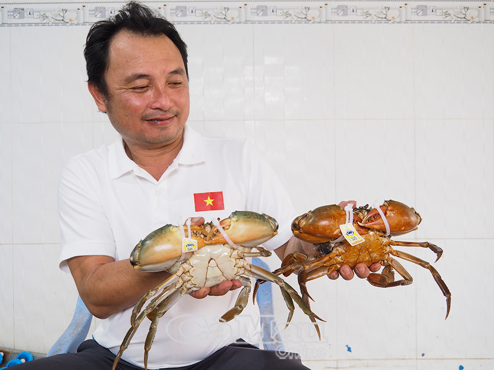 Sản phẩm Cua biển Năm Căn đạt OCOP 4 sao của Công ty TNHH Dư Thái Bình (xã Hàm Rồng, huyện Năm Căn, tỉnh Cà Mau). Mỗi năm công ty xuất bán sang thị trường Trung Quốc, Singapore trên 130 tấn cua thương phẩm.