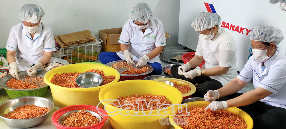 Sản phẩm OCOP 3 sao của HTX Trúc Thương (xã Tân Dân, huyện Ðầm Dơi, tỉnh Cà Mau).