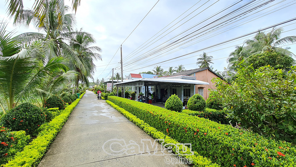Nét mới trên vùng quê xã Phong Thạnh Tây A, huyện Phước Long. 