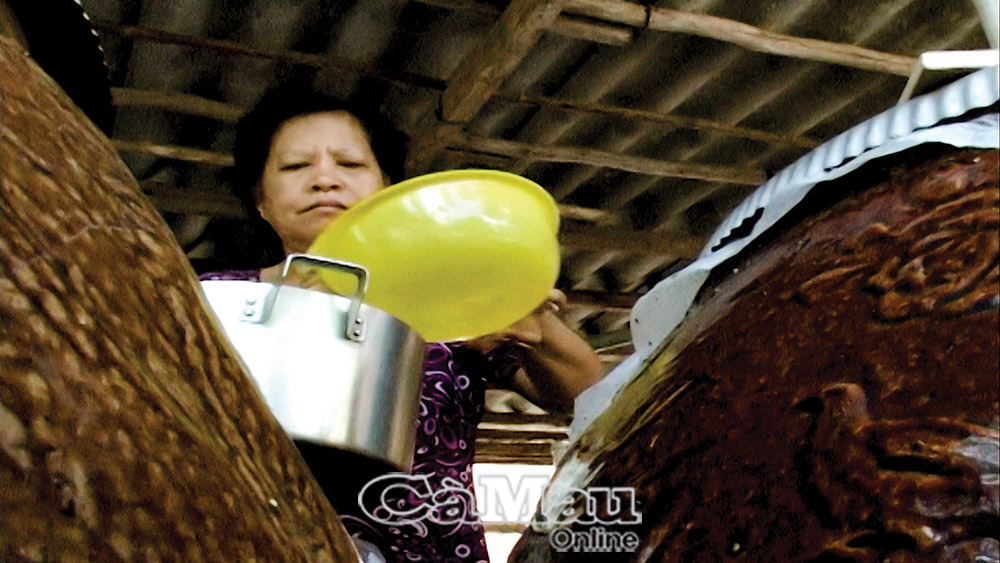 Biển Bạch khát nước.