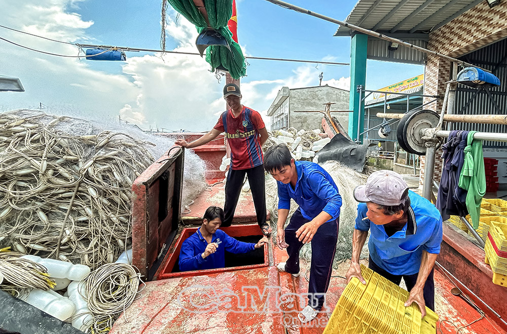 Các phương tiện chuẩn bị trước khi ra biển khai thác.