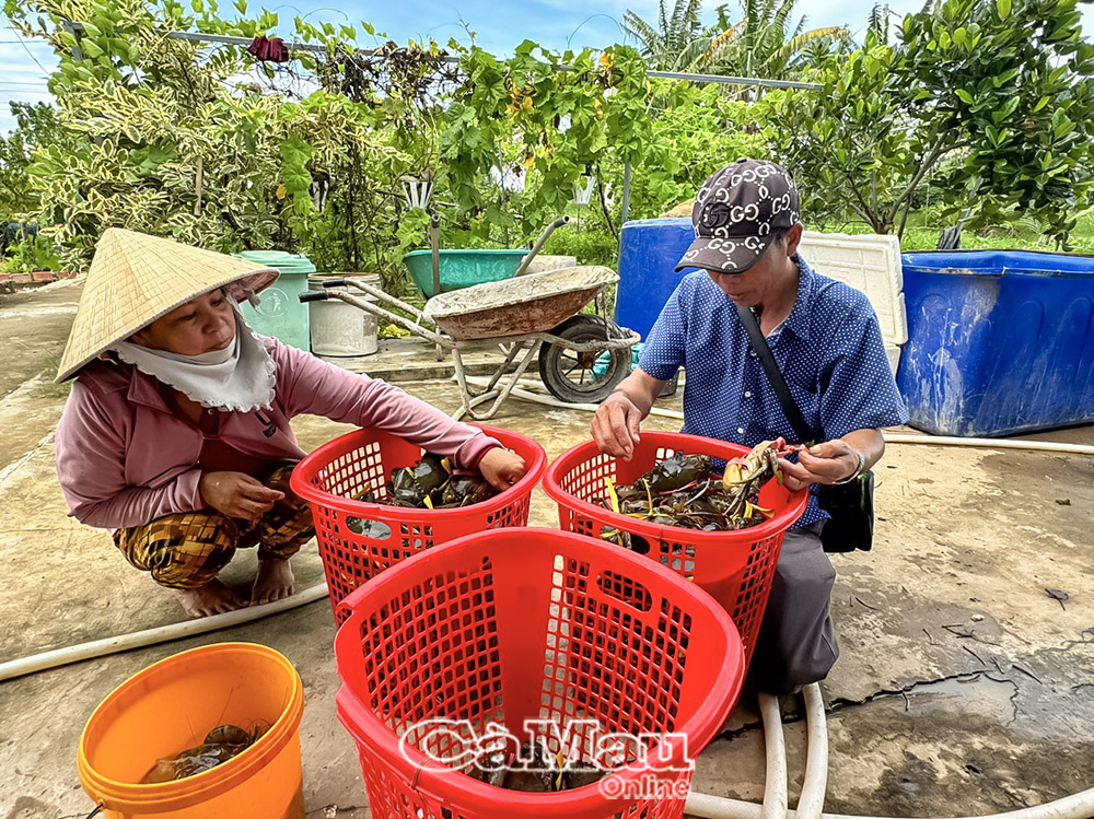 Cần rà soát nguồn cung ứng bảo quản nguyên, vật liệu phục vụ hoạt động ẩm thực thủy sản (Ảnh minh hoạ)