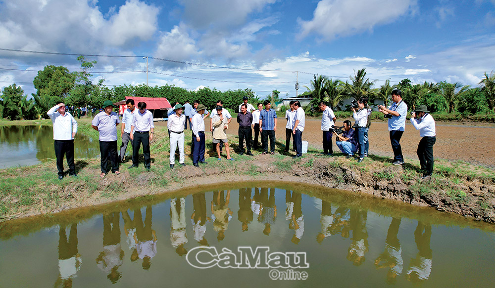 Đồng chí Huỳnh Quốc Việt, Phó Bí thư Thường trực Tỉnh uỷ (thứ hai từ trái sang) đến thăm mô hình sản xuất ở phường Láng Tròn.  Ảnh: Phan Thanh Cường