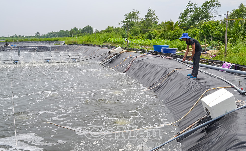Sử dụng điện nếu không đúng cách, mất an toàn, có nguy cơ xảy ra cháy nổ.