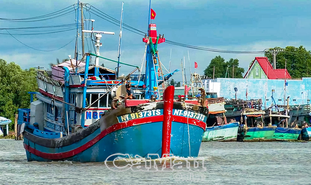 Tàu cá rời cảng Sông Ðốc ra khơi.