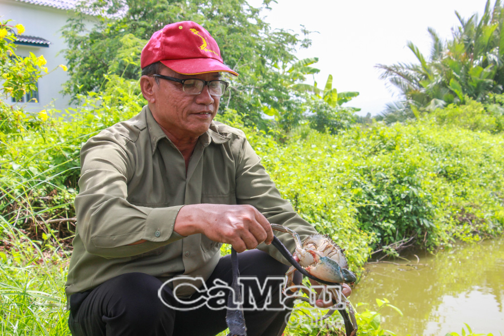 Cua Cà Mau được Cục Sở hữu trí tuệ cấp Giấy chứng nhận đăng ký chỉ dẫn địa lý.