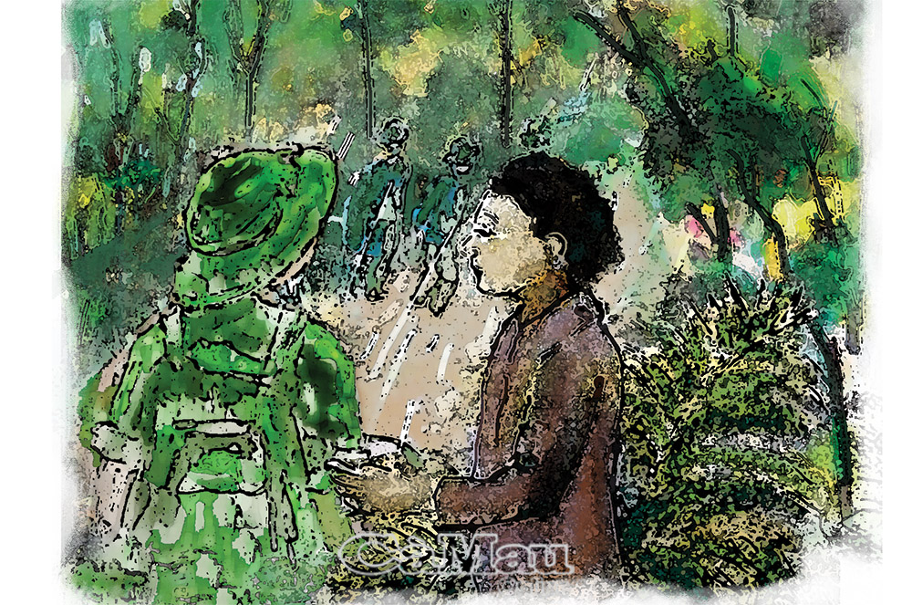 Minh hoạ: Kiều Loan