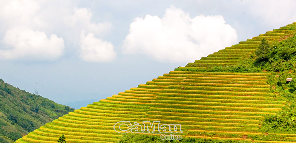 Ruộng bậc thang Sa Pa được Tạp chí Travel and Leisure (Mỹ) xếp vào Top 7 ruộng bậc thang đẹp, kỳ vỹ nhất châu Á và thế giới. Ảnh: Phạm Ngọc Bằng