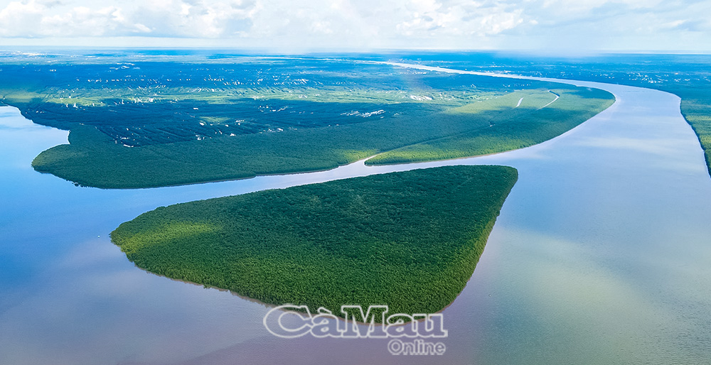 Cà Mau đặt mục tiêu phát triển vùng nguyên liệu cua biển với quy mô khoảng 50.000 ha, hướng đến thị trường xuất khẩu chính ngạch sang Trung Quốc.