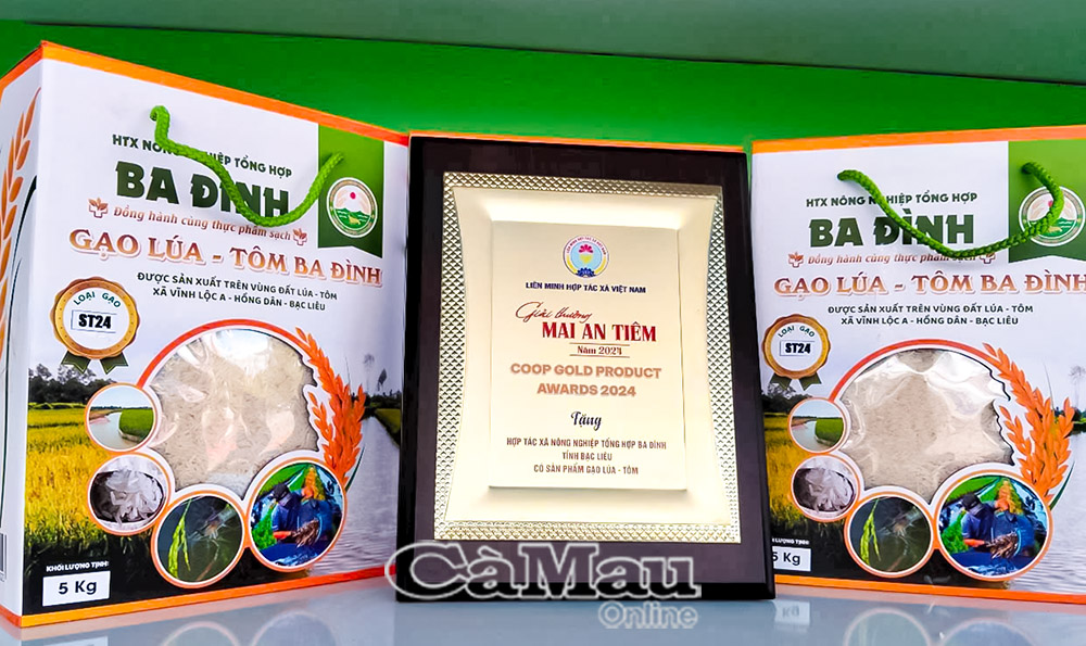 Gạo lúa - tôm Ba Ðình (ST24) đạt OCOP 3 sao và là sản phẩm tiêu biểu của HTX Nông nghiệp tổng hợp Ba Ðình năm 2024. Ảnh: ANH TUẤN