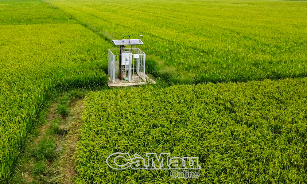 Nông dân xã Vĩnh Mỹ đẩy mạnh cơ giới hoá, ứng dụng khoa học - kỹ thuật, hoàn thiện hạ tầng nông nghiệp.