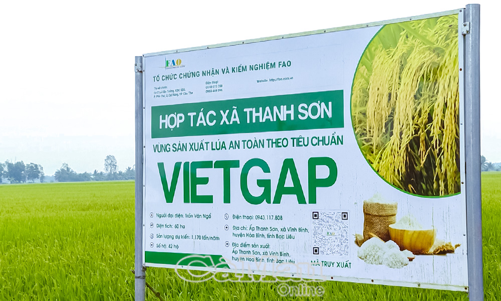 HTX Thanh Sơn ký hợp tác với Tập đoàn Lộc Trời sản xuất theo hướng VietGAP