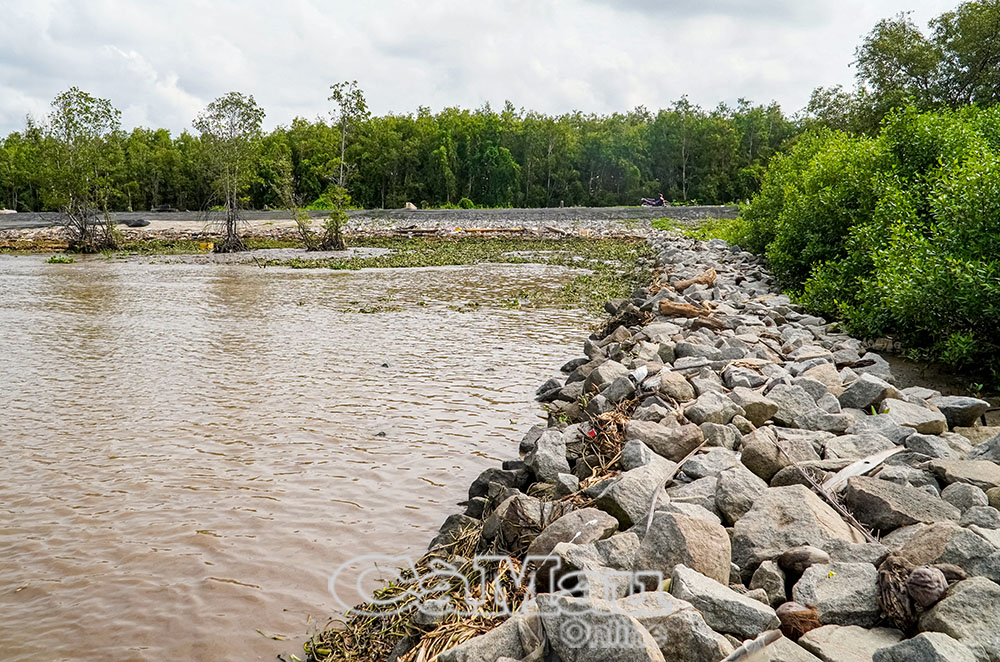 Nhờ công tác quản lý, duy tu thường xuyên mà tuyến đê biển Tây luôn đảm nhiệm tốt nhiệm vụ bảo vệ cả vùng ngọt hoá của tỉnh, trong đó có Vườn Quốc gia U Minh Hạ.