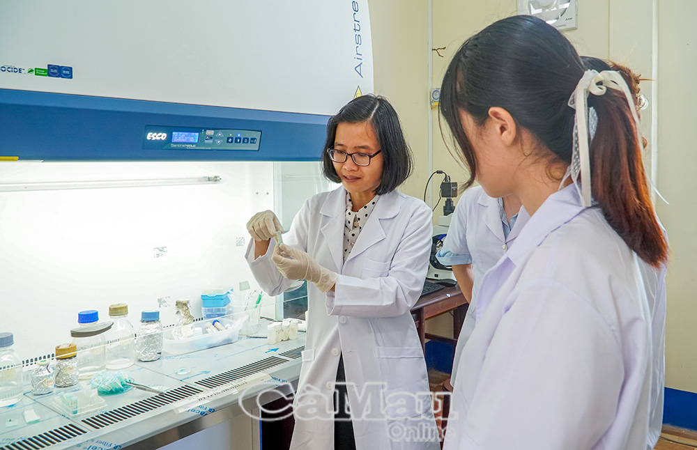 Ứng dụng quy trình nhuộm xương trong đánh giá ảnh hưởng của yếu tố môi trường đến sự dị hình và tăng trưởng của cá chạch bùn (cá chạch đồng) giống của Trường Đại học Bạc Liêu.