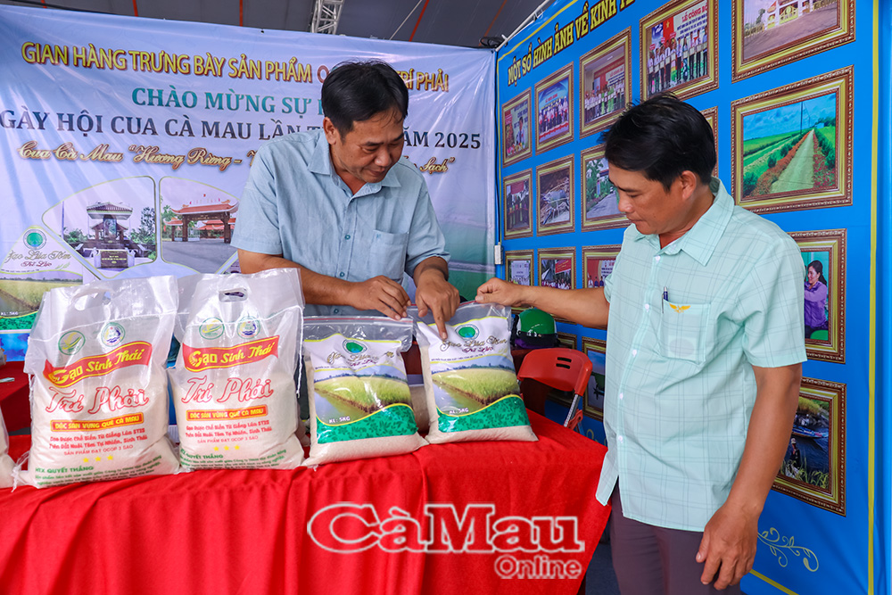 Từ nhãn hiệu chứng nhận Lúa sinh thái Cà Mau, các HTX trong tỉnh phát triển sản phẩm gạo sinh thái (sản xuất từ mô hình tôm - lúa) được người tiêu dùng ưa chuộng.