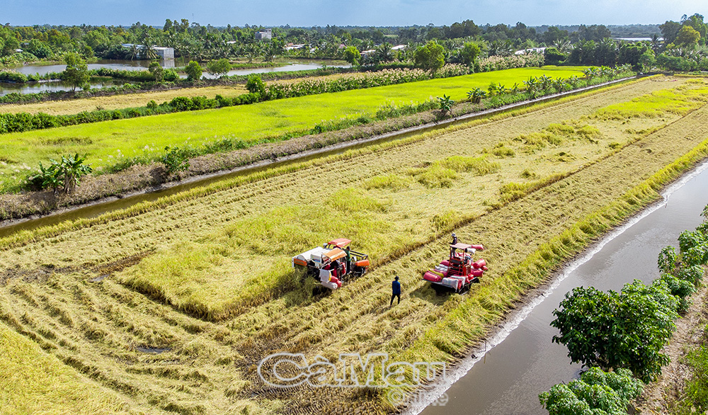 Cơ giới hoá, ứng dụng khoa học - kỹ thuật vào sản xuất nông nghiệp giúp nông dân tiết kiệm thời gian, chi phí và sức lao động.