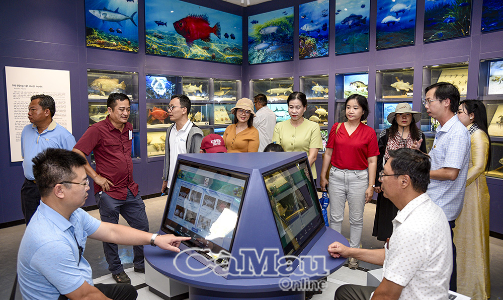 Thành viên đoàn công tác trải nghiệm không gian số tại Bảo tàng Tổng hợp tỉnh Cà Mau.