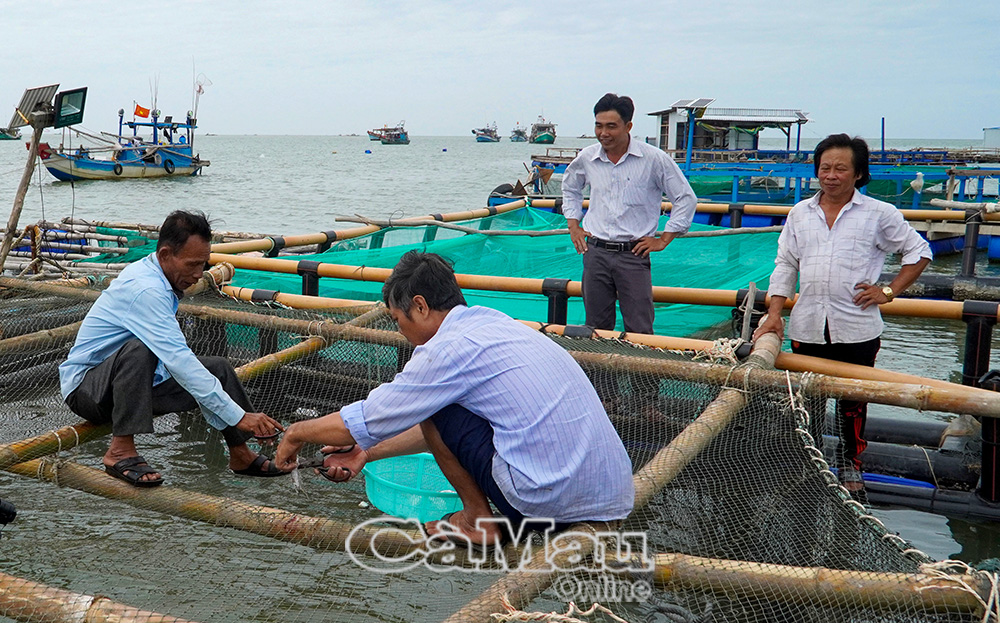 Nuôi biển đang trở thành hướng đi quan trọng nhằm gia tăng giá trị và đa dạng sản phẩm phục vụ xuất khẩu.