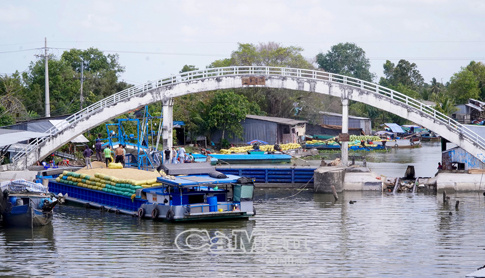 Thời gian qua, tỉnh đã đầu tư hệ thống cống ngăn triều, chống xâm nhập mặn dọc tuyến Tắc Thủ - Sông Ðốc.