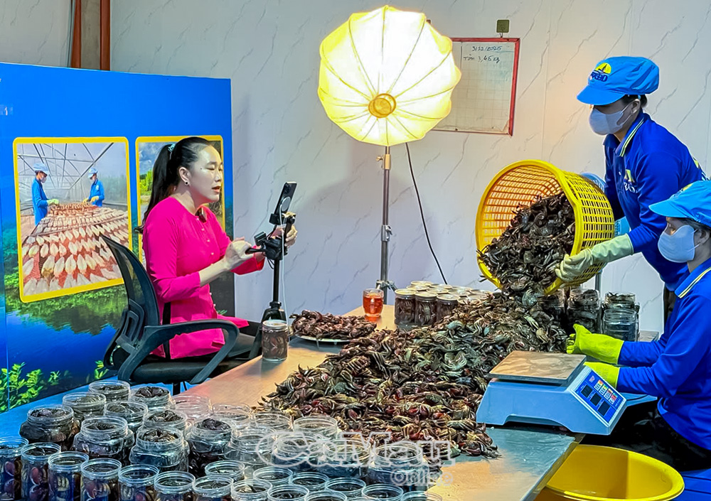 Doanh nghiệp, hợp tác xã đẩy mạnh livestream bán hàng.