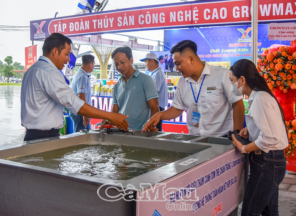 Các mô hình nuôi tôm siêu thâm canh đã thay đổi khi ứng dụng công nghệ cao để đạt năng suất và chất lượng ngày càng vượt trội.