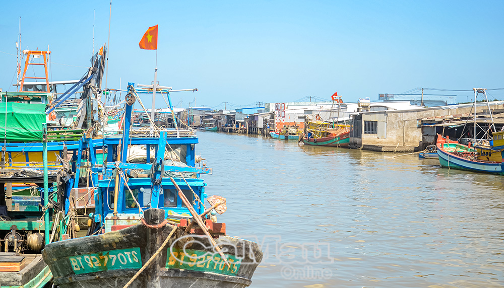 Giá xăng dầu tăng cao, nhiều tàu cá của ngư dân xã Cái Đôi Vàm, tỉnh Cà Mau cho tàu về cặp bến.