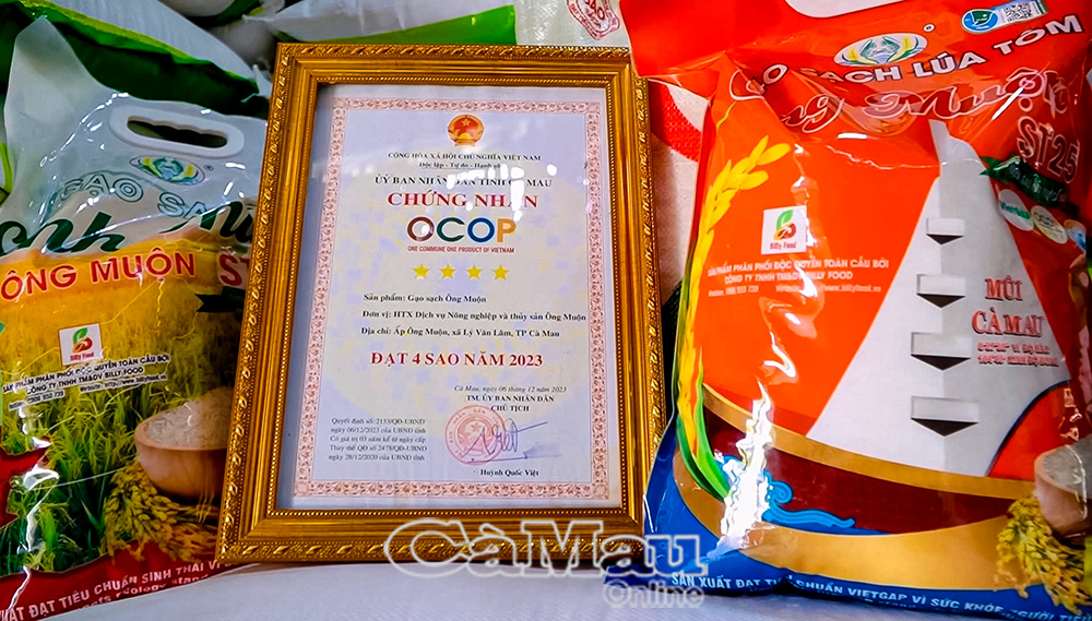 Sản phẩm gạo Ông Muộn đạt chứng nhận OCOP 4 sao, từng bước khẳng định chất lượng và thương hiệu trên thị trường.