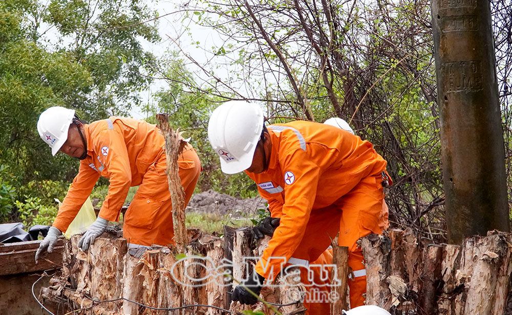 Các vị trí trụ điện xung yếu được ngành điện rà soát, gia cố nhằm bảo đảm vận hành an toàn lưới điện.