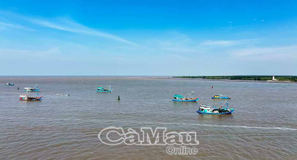 Với gần 700 tàu cá, xã Đá Bạc tích cực đẩy mạnh mô hình tổ, đội đoàn kết, cùng nhau vươn khơi bám biển an toàn trong mùa mưa bão.