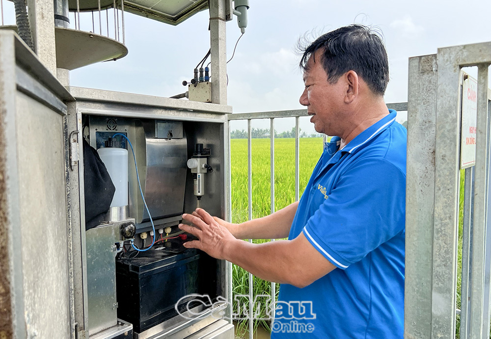 Ông Trần Văn Ngỗ kiểm tra máy bắt côn trùng tự động trên ruộng lúa.