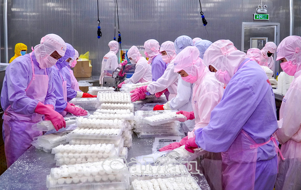 Hiện tổng nhu cầu tuyển dụng của các doanh nghiệp trong tỉnh khoảng 11.716 người, trong đó chủ yếu là lao động phổ thông, khoảng 11.460 người.