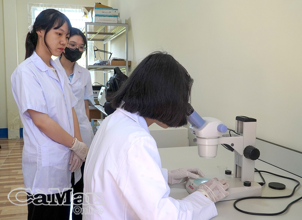 Với 1 phó giáo sư, 32 tiến sĩ và 127 thạc sĩ, Trường Ðại học Bạc Liêu được xem là “hạt nhân” trong đào tạo nguồn nhân lực của Cà Mau.