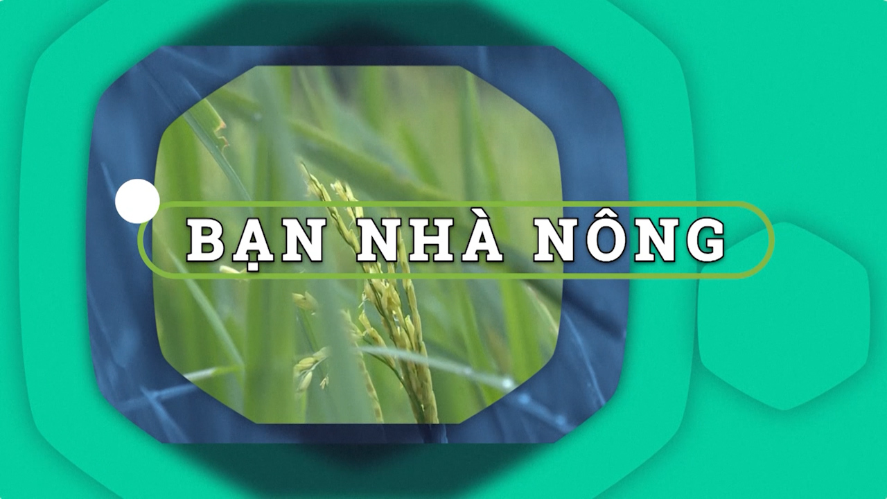 Bạn nhà nông 07-06-2025