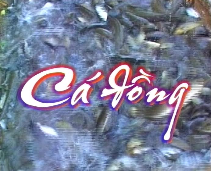 Cà Mau đất và người 08-10-2023