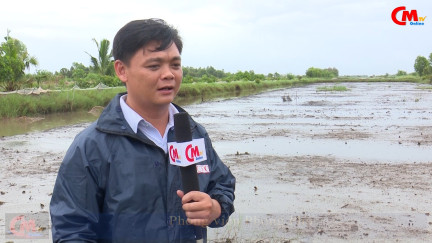 10.000 ha đất nuôi tôm bị ảnh hưởng do khui đập xổ nước rừng