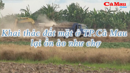 Khai thác đất mặt ở TP. Cà Mau lại ồn ào như chợ